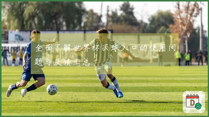 全面了解世界杯买球入口的使用问题与反馈汇总