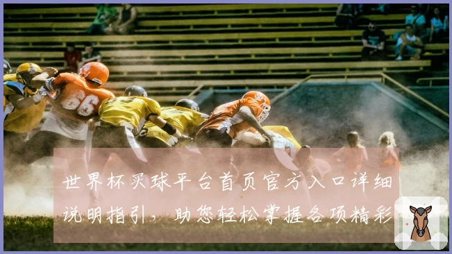 世界杯买球平台首页官方入口详细说明指引，助您轻松掌握各项精彩功能