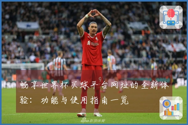 畅享世界杯买球平台网址的全新体验：功能与使用指南一览