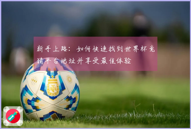 新手上路：如何快速找到世界杯竞猜平台地址并享受最佳体验