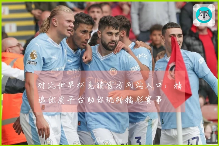 对比世界杯竞猜官方网站入口,精选优质平台助你玩转精彩赛事