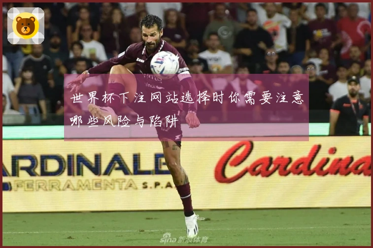 世界杯下注网站选择时你需要注意哪些风险与陷阱