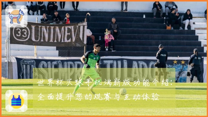 世界杯买球手机端新版功能介绍：全面提升您的观赛与互动体验