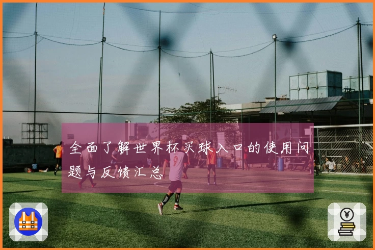 全面了解世界杯买球入口的使用问题与反馈汇总
